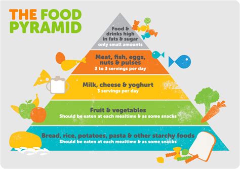 All You Need To Know About Nutrient Density A Complete Guide