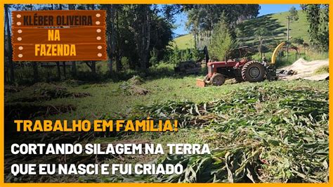 Trabalho Em Fam Lia Cortando Silagem Na Terra Que Eu Nasci E Fui