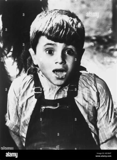 THE LITTLE RASCALS/OUR GANG COMEDIES, Robert Blake (aka: Mickey ...