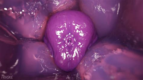 Cock Inside Pussy Animation By Frihskie Thisvid