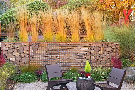 Best Plants For A Gabion Wall Better Homes And Gardens