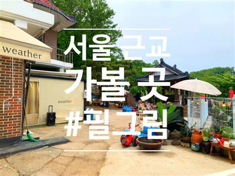 리뷰 서울 근교 아이와 가볼 만한 곳 동물 친구들과 체험이 가능한 필그림 Feat Cafe 215 네이버 블로그