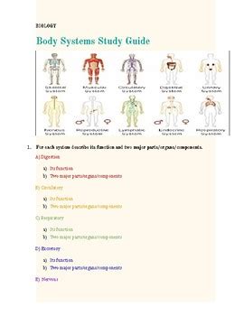 Human Body Review Of Human Body Systems Study Guide Tpt