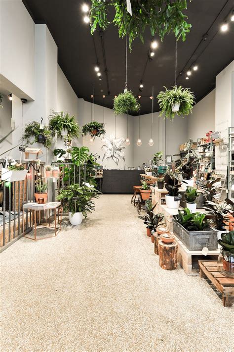 A Room Filled With Lots Of Potted Plants