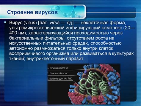 Вирусолюция. Строение вирусов - презентация онлайн