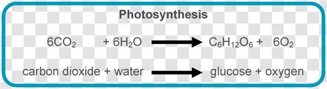 Chemical Equation For Light Independent Reaction Tessshebaylo