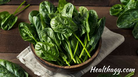 Arugula Vs Spinach What Is The Difference Plus Nutrition Healthagy