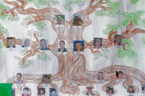 Drzewa Genealogiczne Publiczna Szko A Podstawowa Im Jana Kochanowskiego