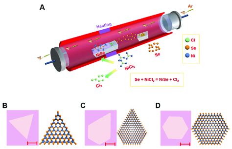 The Growth Of Nise Flakes With A Chemical Vapor Deposition Cvd Download Scientific Diagram