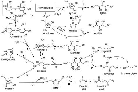 Reaction Pathways For The Conversion Of Cellulose The Reactions