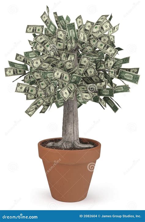 Money Tree In Flower Pot Stock Images - Image: 2082604