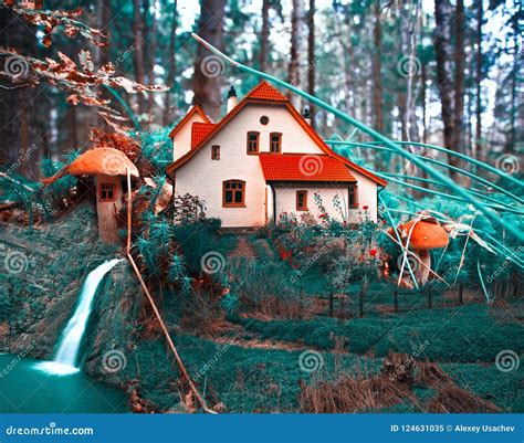Forest Collage Royalty Free Stock Photography 49362929