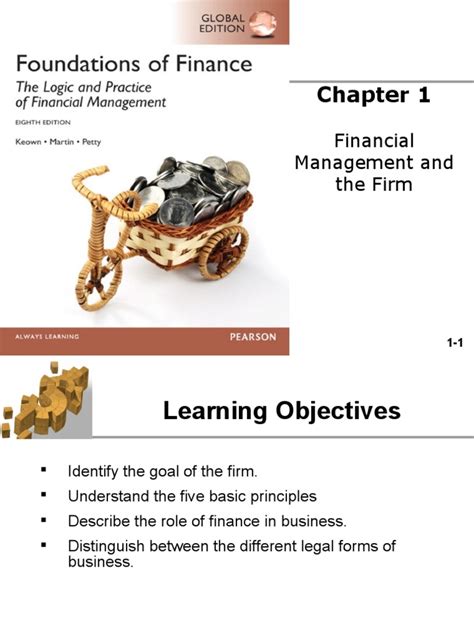 foundations  finance  limited liability company partnership