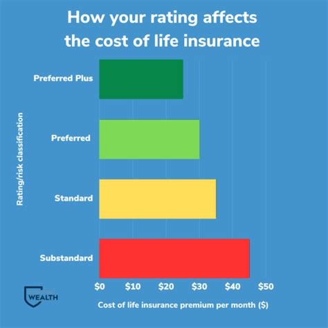 Understanding Life Insurance Risk Levels A Comprehensive Guide