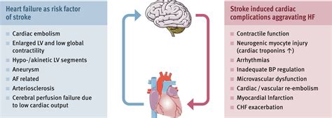 Interaction Of Heart Failure And Stroke A Clinical Consensus Statement