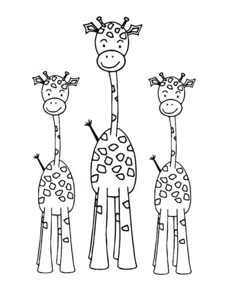 Trei Girafe