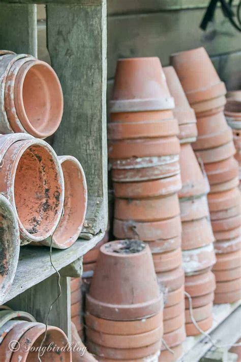 Transform Simple Clay Pots Into A Breathtaking Centerpiece For Summer In 10 Minutes