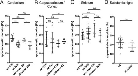 Tissue Stiffness In Brain Regions Of Shiverer Mice With Inherited