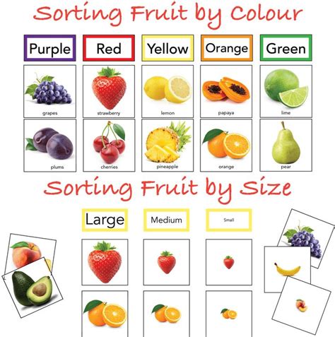 Fruit Colour Sorting Color Sorting With Real Pictures Color Sorting
