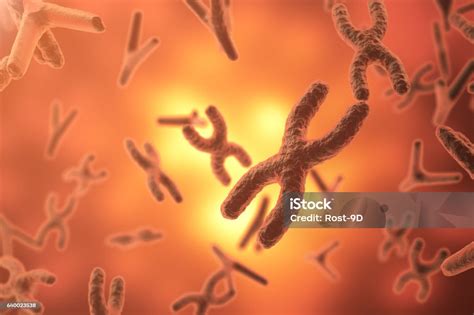 Kromosom Di Latar Belakang Ilmiah Hidup Dan Biologi Konsep Kedokteran