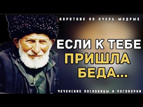 Короткие но очень мудрые, Чеченские пословицы и поговорки || Цитаты и ...