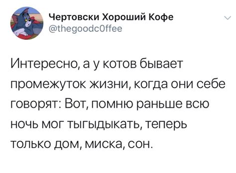 Все как у людей | Пикабу