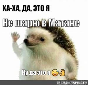 Создать мем "мем белый еж, ежик ок, ежик ок мем" - Картинки - Meme ...