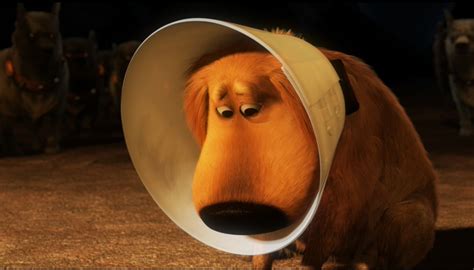 Doug from Up - Cone of Shame Blank Template - Imgflip