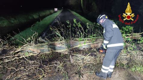 Crema Maltempo Cadono Alberi Il Nuovo Torrazzo