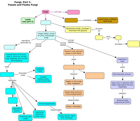 Fungi Part Html