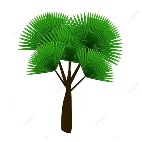 Plant Trees Palm Trees Vector Illustration Elements, Element ...