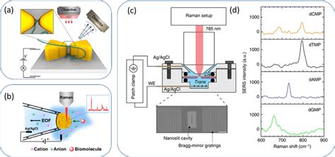 Surface Enhanced Raman Spectroscopic Sensing In Nanopore Nanoslit A