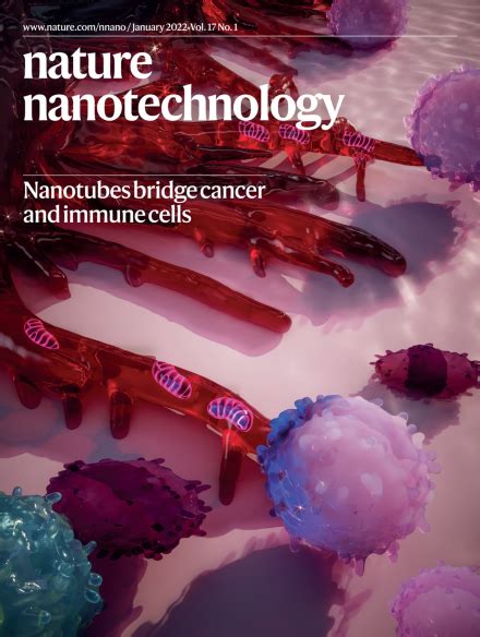 【文献速递】【nature Nanotechnology】【2022年】【1月】 哔哩哔哩