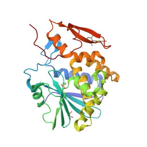 Rcsb Pdb Mlo Crystal Structure Of Ricin A Chain In Complex With