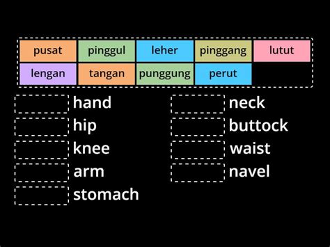 1A Anggota Badan Parts 2 Match Up