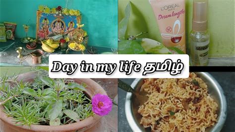 A Day In My Life Vlog Moving To Grandma House 🏠diml🌼 ️ Tamil Vlog