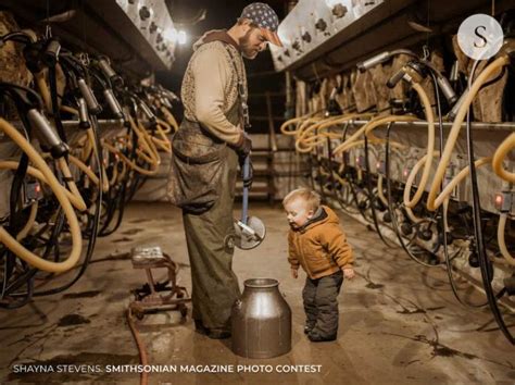 Las Fotos Ganadoras Del Smithsonian Photo Contest Periodismo Com