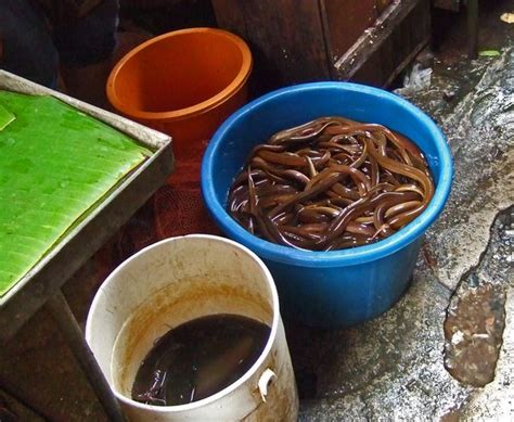 Chiang Mai Warorot Market Kad Luang Mmm Yoso