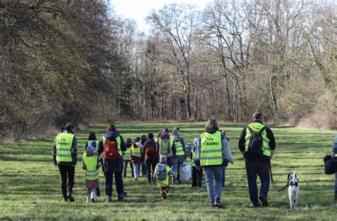 Auch Kr Ten Leiden Unter Dem Klimawandel