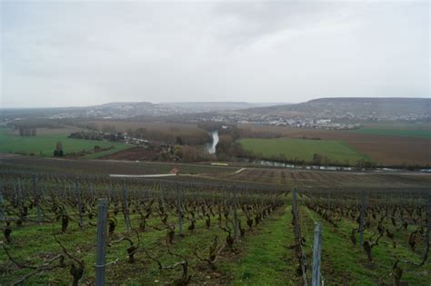 epernay - vineyards 4.jpg (Image #14 of 100)