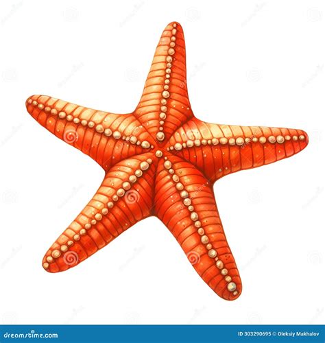 paint a starfish 6