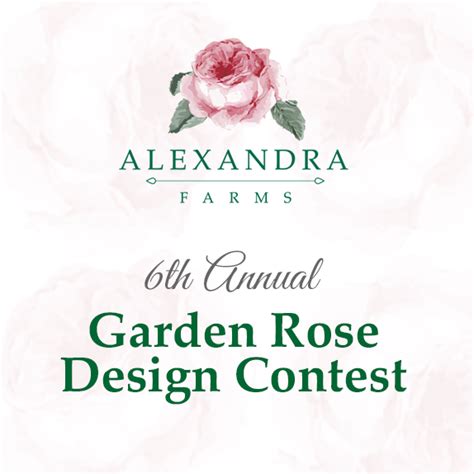 The Sixth Annual Alexandra Farms Garden Rose Design Contest Is Now Open