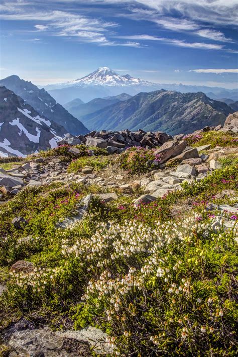 Mount Rainier North Western Images Photos By Andy Porter