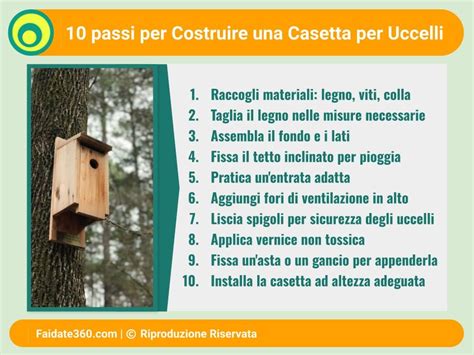 Guida Completa Alle Casette Per Uccelli Scelta Costruzione E Manutenzione