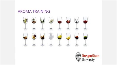 Sneak Peek Into Exclusive Sensory Evaluation Of Wine Webinar Youtube