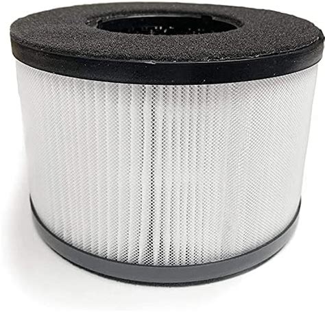 Amazon Nispira In True Hepa Filter Replacement Compatible With