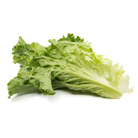 Lettuce Filet Green Leaf J Ambrogi Foods