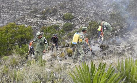 Incendio En Charcas Consume 20 Hectáreas Noticias De San Luis Potosí