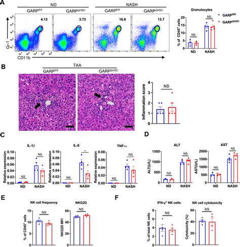 Garp On Hepatic Stellate Cells Is Essential For The Development Of