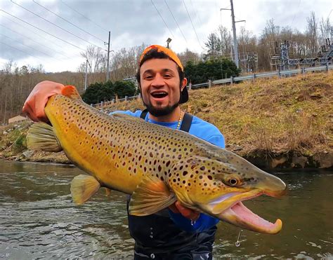 Basic Trout Fishing Techniques: How Successful Young Anglers Catch Impressive Fish - Premier Angler